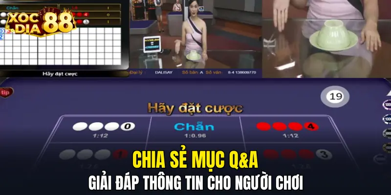 Chia sẻ mục Q&A giải đáp thông tin cho người chơi Chia sẻ mục Q&A giải đáp thông tin cho người chơi