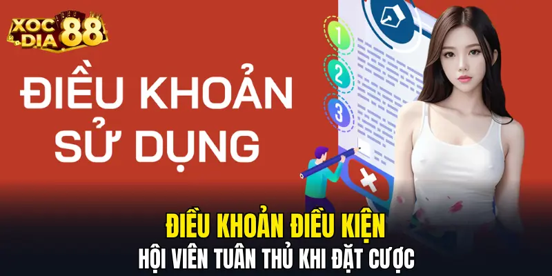 Điều khoản điều kiện hội viên tuân thủ khi đặt cược